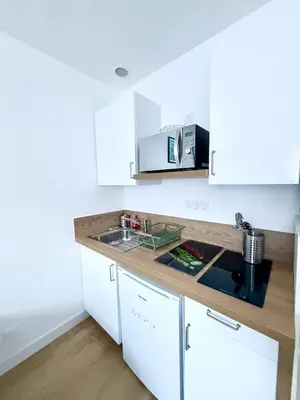 Cuisine ou kitchenette dans l'établissement Appartements meublés Brest centre