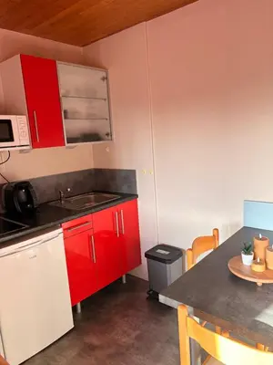 Cuisine ou kitchenette dans l'établissement Studio