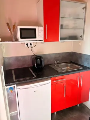 Cuisine ou kitchenette dans l'établissement Studio