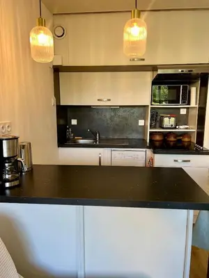 Cuisine ou kitchenette dans l'établissement L'esprit vacances-T3 à Port La Forêt