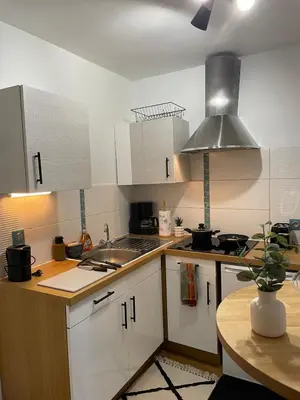 Cuisine ou kitchenette dans l'établissement Cozy & Stylish, hyper center
