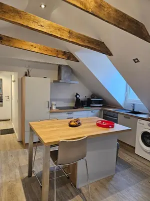 Cuisine ou kitchenette dans l'établissement Le petit pierre