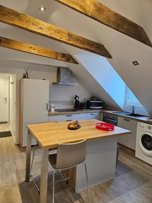 Cuisine ou kitchenette dans l'établissement Le petit pierre