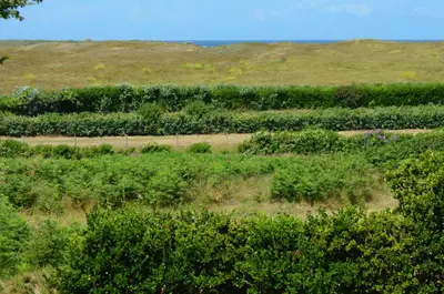 Paysage naturel près de la maison de vacances