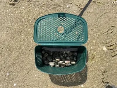 Plan de l'établissement Gite Ker Domi 3 personnes-Plages et GR34 à pied Plouguerneau