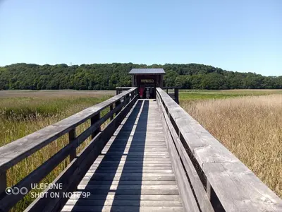 Paysage naturel près de la maison de vacances