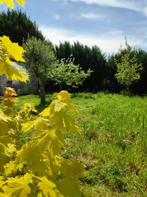 Jardin de l'établissement Kastell-Mor 2 chambres au calme vue jardin - proche Roscoff