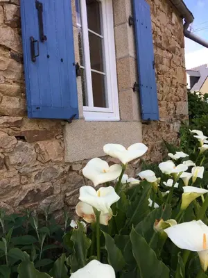 Jardin de l'établissement Maison bretonne proche mer