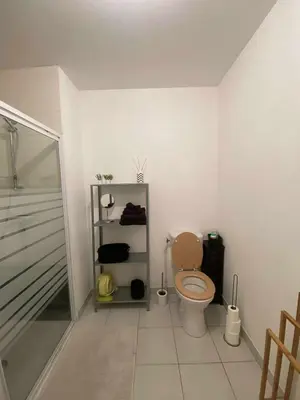 Salle de bains dans l'établissement Appartement 49 mètres carrés, calme, récent, bien situé, accessible en voiture garage, ascenseur
