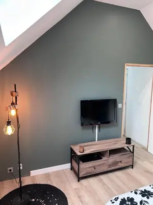 Télévision ou salle de divertissement dans l'établissement Maison en pierre - ancien corps de ferme