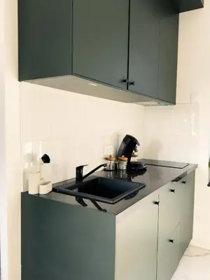 Cuisine ou kitchenette dans l'établissement Appartement Brest centre cosy 2