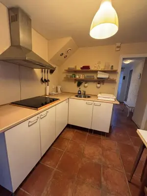 Cuisine ou kitchenette dans l'établissement L'appartement d'Adonis