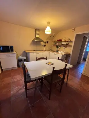 Cuisine ou kitchenette dans l'établissement L'appartement d'Adonis