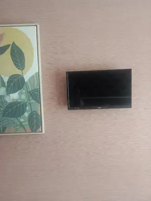 Télévision ou salle de divertissement dans l'établissement L'Instant des Hôtes