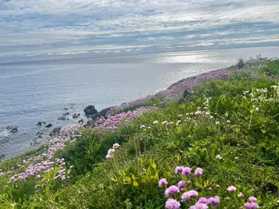 Paysage naturel près de la maison de vacances