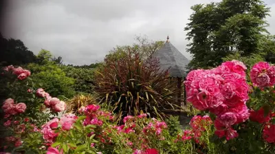 Jardin de l'établissement Gîte Atypique Dans Une Chapelle