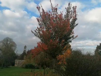 Jardin de l'établissement Gîte Atypique Dans Une Chapelle