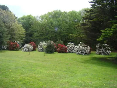 Jardin de l'établissement Kernel Bihan