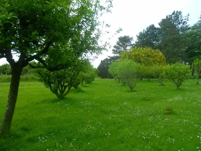 Jardin de l'établissement Les Mobile home de KERROYAL