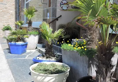 Jardin de l'établissement Hôtel Aux Tamaris - Vue Mer