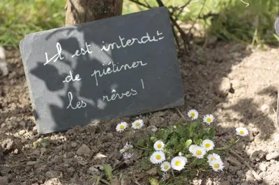 Jardin de l'établissement L'herbe des nuits...