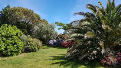 Jardin de l'établissement Villa Kernéhan