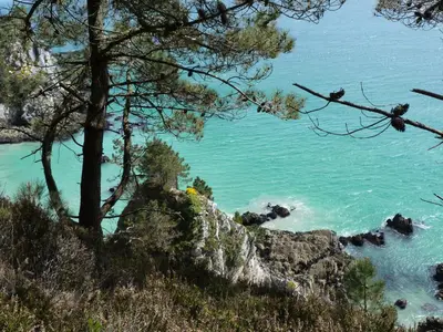 Paysage naturel près de la maison de vacances