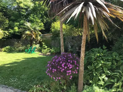 Jardin de l'établissement Hotel de France