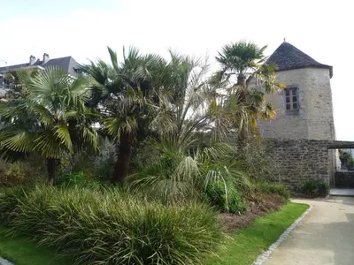 Jardin de l'établissement Appartement Hypercentre Quimper