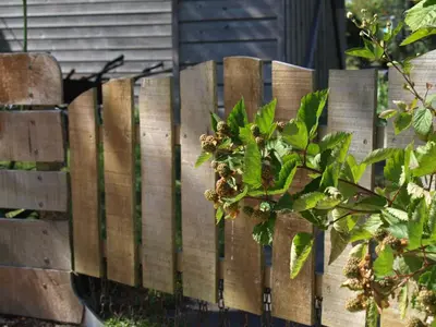 Jardin de l'établissement Le Chant Des Mûres
