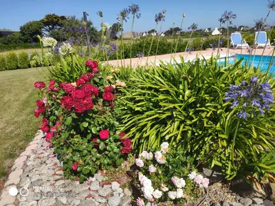 Piscine de l'établissement Gîte de Porspol ou située à proximité
