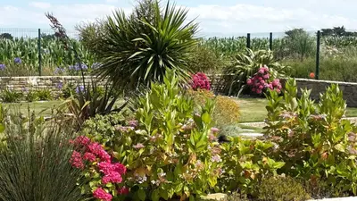 Jardin de l'établissement Gîte de Porspol