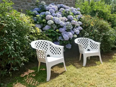 Jardin de l'établissement Holiday Home La Ferme Bis by Interhome