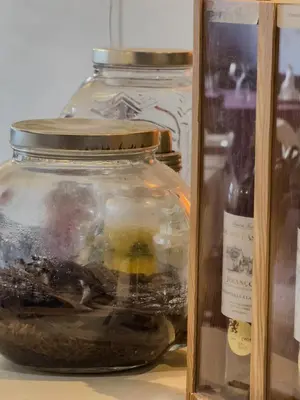 Boissons dans l'établissement Logis Hôtel Les Chardons Bleus RESTAURANT LE BISTROT DE LA MER