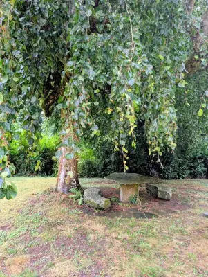 Jardin de l'établissement Domaine le Puits de Jeanne