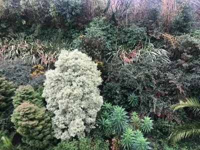 Jardin de l'établissement Logis Hotel De La Corniche