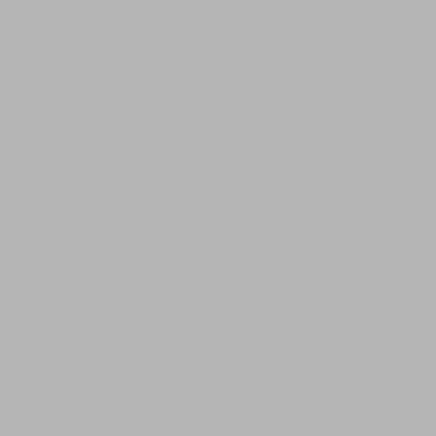 Clients de l'établissement ibis Brest Kergaradec