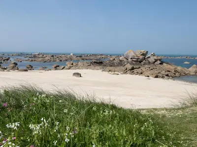 Paysage naturel près de l'appartement