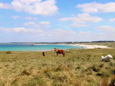 Paysage naturel près de la maison de vacances