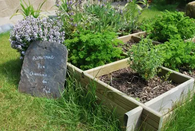 Jardin de l'établissement Les Chambres du Mad