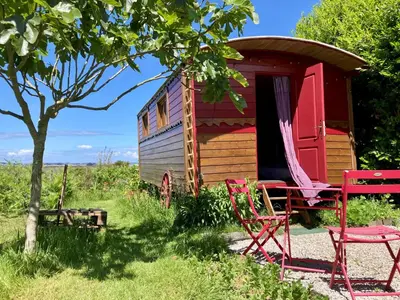 Jardin de l'établissement Les Chambres du Mad