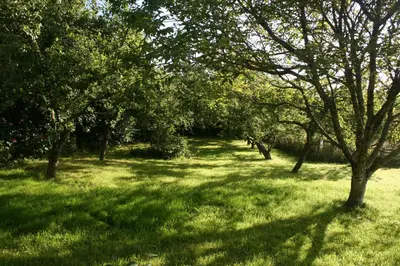 Jardin de l'établissement Les gites d'Hellen