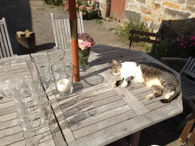 Animal ou animaux domestique(s) séjournant avec des clients dans l'établissement Les gites d'Hellen