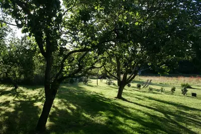 Jardin de l'établissement Les gites d'Hellen