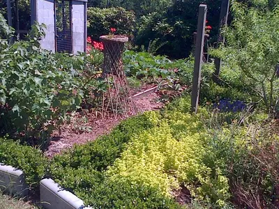 Jardin de l'établissement Le Rocher du Samoyède