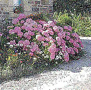 Jardin de l'établissement lemoign-locations