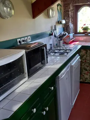 Cuisine ou kitchenette dans l'établissement Ferienhaus Cottage Maison typique
