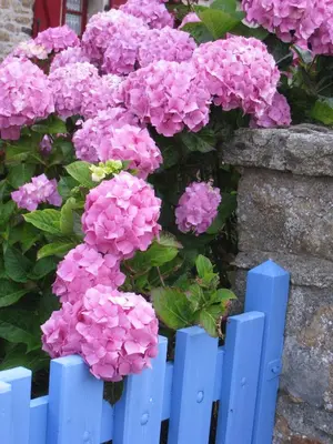 Jardin de l'établissement La maison du port