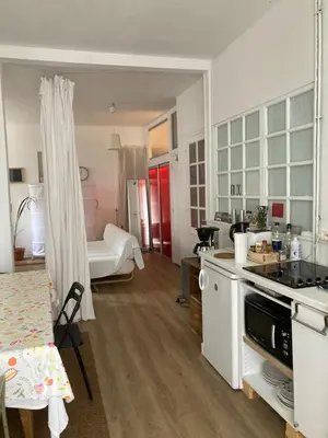 Cuisine ou kitchenette dans l'établissement Grand Studio Type Loft