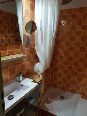 Salle de bains dans l'établissement Île ô des capucins